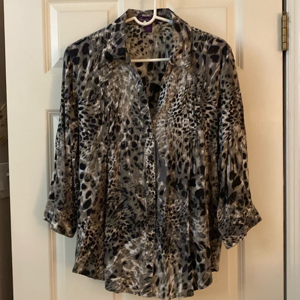 Tunic Blouse